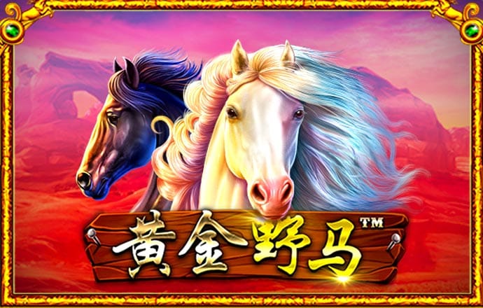 qy球友会app官网